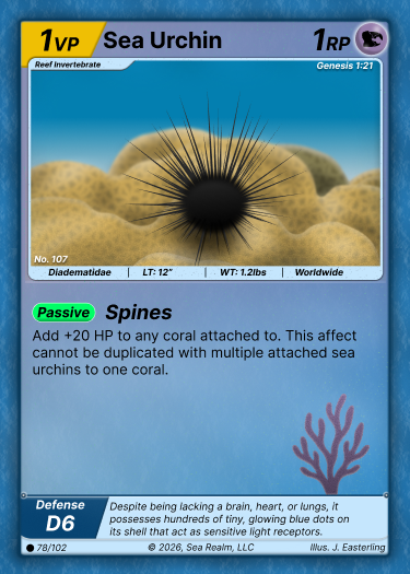 Sea Urchin SeaRealm card